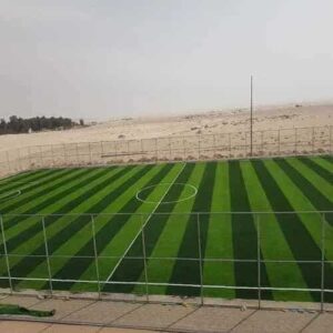 تركيب عشب صناعي بالرياض